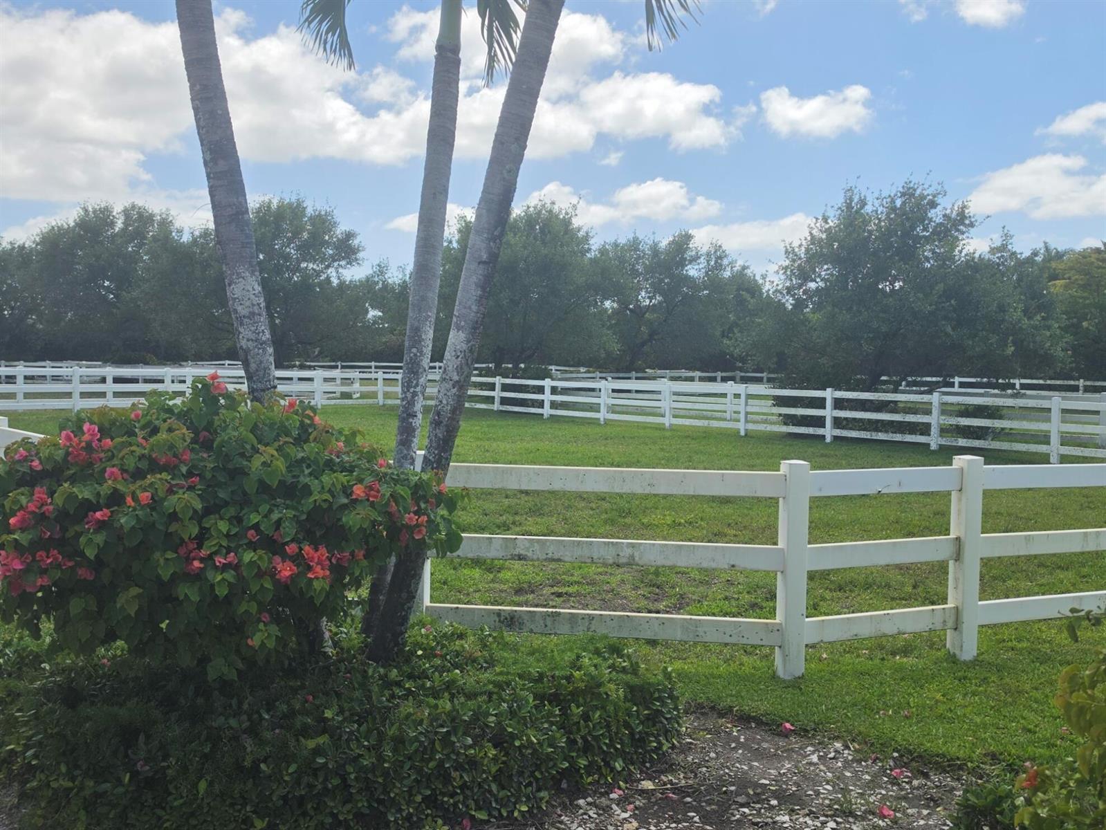 A white fence encloses a grassy pasture with palm trees and a flowering bush — 14127 Equestrian Way, Wellington FL 33414, WELLINGTON, FL