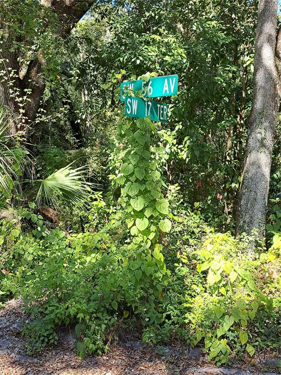 0 SW 56TH AVENUE, GAINESVILLE, FL — photo 3 of 3