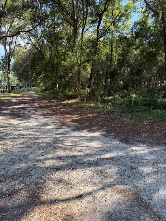 A dirt path runs alongside a wooded area with a fence in the distance — 0 SW 146TH PLACE UNIT #328, DUNNELLON, FL