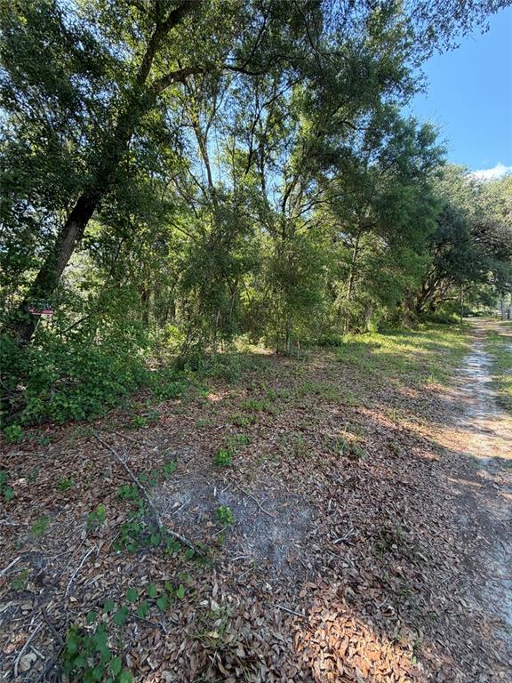 A dirt path runs alongside a wooded lot with dense trees and scattered leaves — 0 SW 146TH PLACE UNIT #328, DUNNELLON, FL