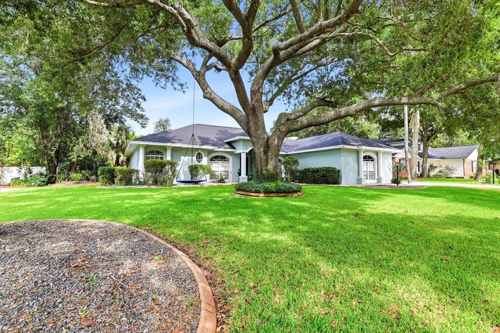 A light blue single-story house sits behind a large oak tree with a hanging swing — 6636 ROYAL FOREST DRIVE, LAKELAND, FL