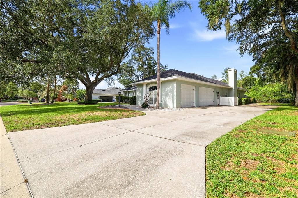 A light green house with a two-car garage and a tall palm tree in front — 6636 ROYAL FOREST DRIVE, LAKELAND, FL