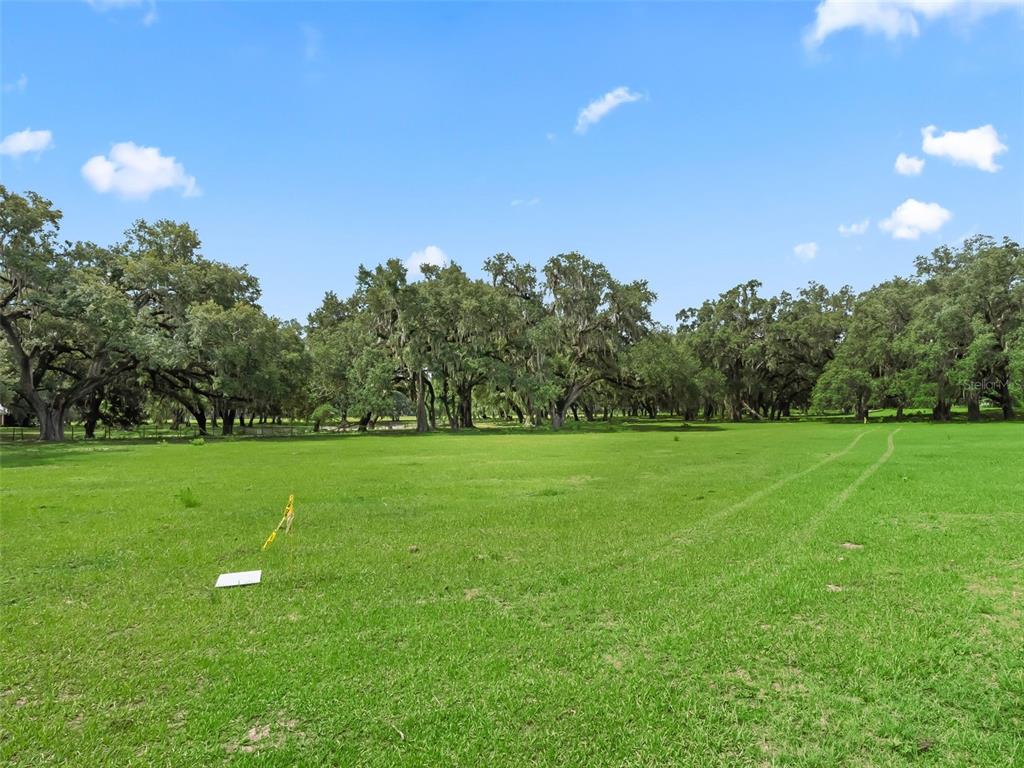 A large, grassy field is bordered by a line of mature oak trees under a sky — Lot 11 CR 543, BUSHNELL, FL