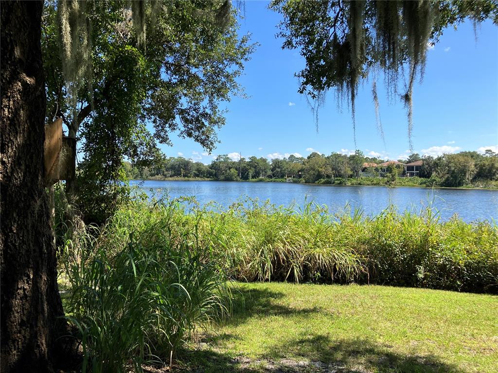 A view of a lake from a grassy yard with trees and tall shoreline grasses — 3613 AZURITE COURT, DELAND, FL