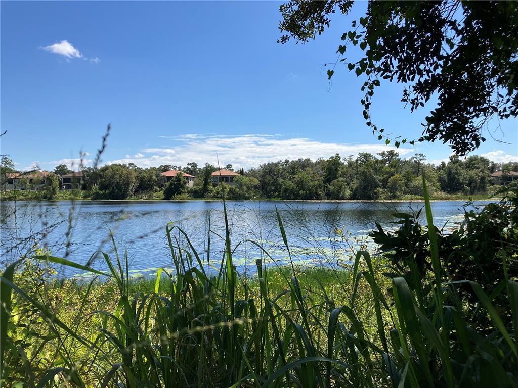 A view of a lake framed by tall grasses and trees with houses in the distance — 3613 AZURITE COURT, DELAND, FL