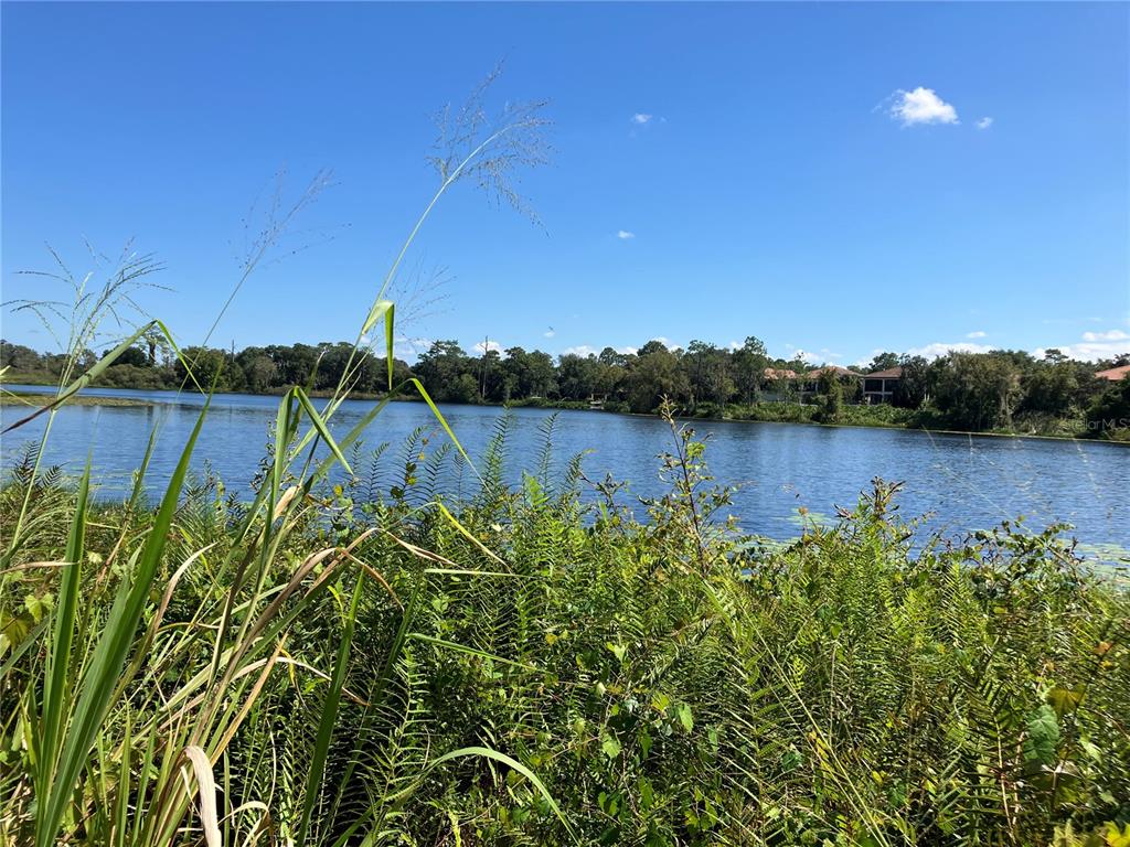 A view of a lake framed by tall grasses and vegetation under a blue sky — 3613 AZURITE COURT, DELAND, FL