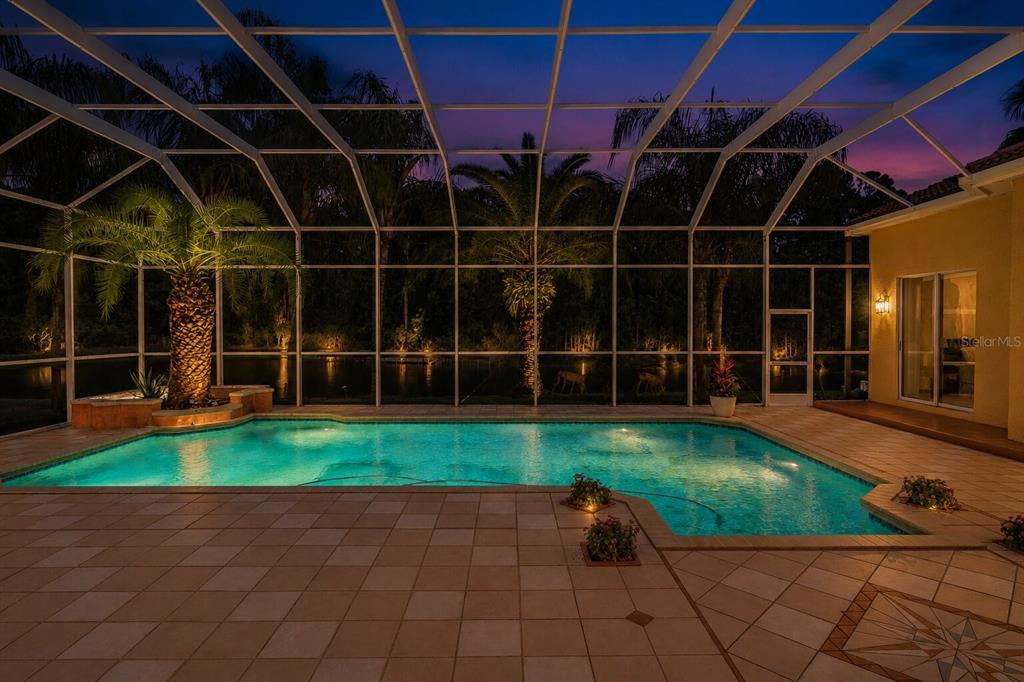 A screened-in swimming pool patio at dusk with palm trees and a lake view — 4561 ROANOAK WAY, PALM HARBOR, FL