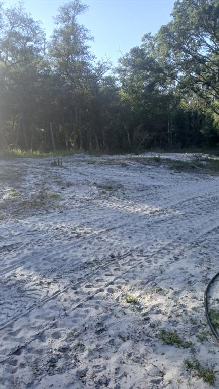 A cleared, sandy lot sits in front of a dense line of trees — 0 AND TBD, WEBSTER, FL