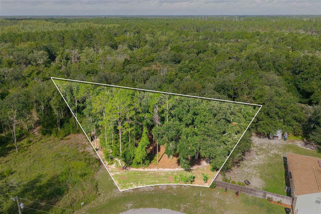 40 DEER TRAIL CIRCLE, BRONSON, FL — photo 2 of 25