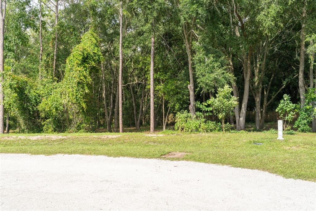 40 DEER TRAIL CIRCLE, BRONSON, FL — photo 3 of 25