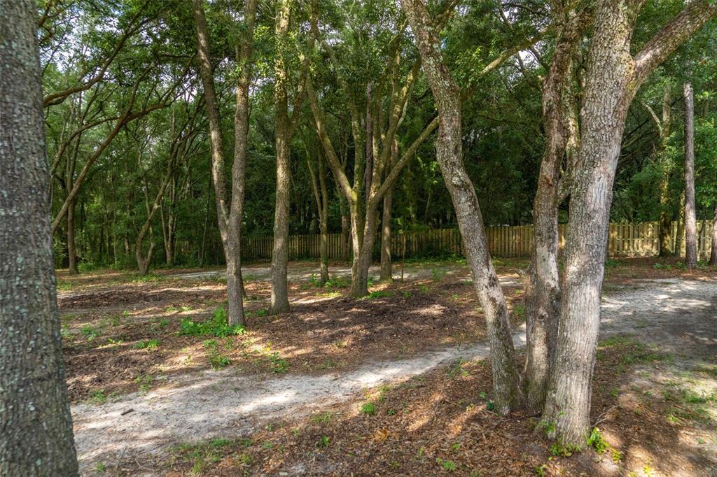 40 DEER TRAIL CIRCLE, BRONSON, FL — photo 4 of 25