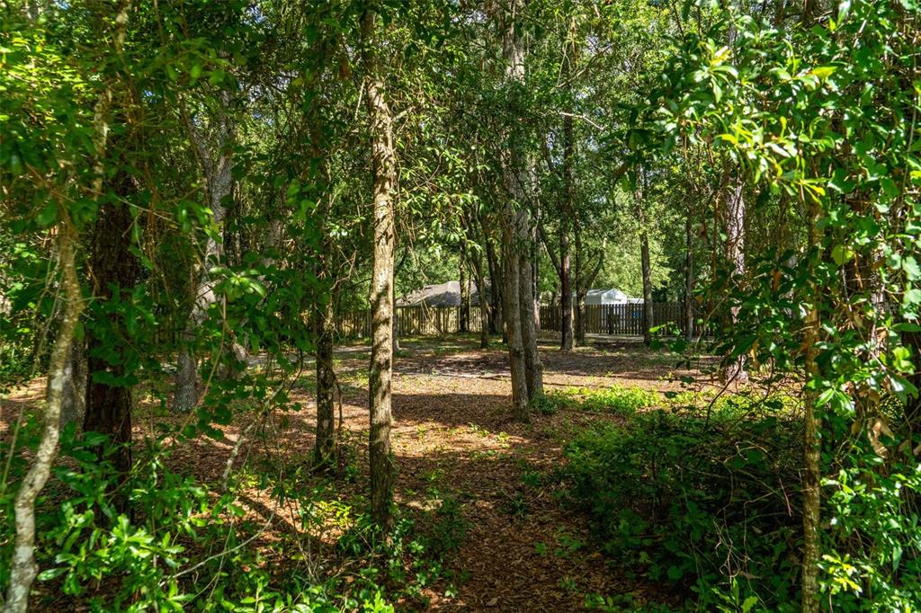 40 DEER TRAIL CIRCLE, BRONSON, FL — photo 5 of 25