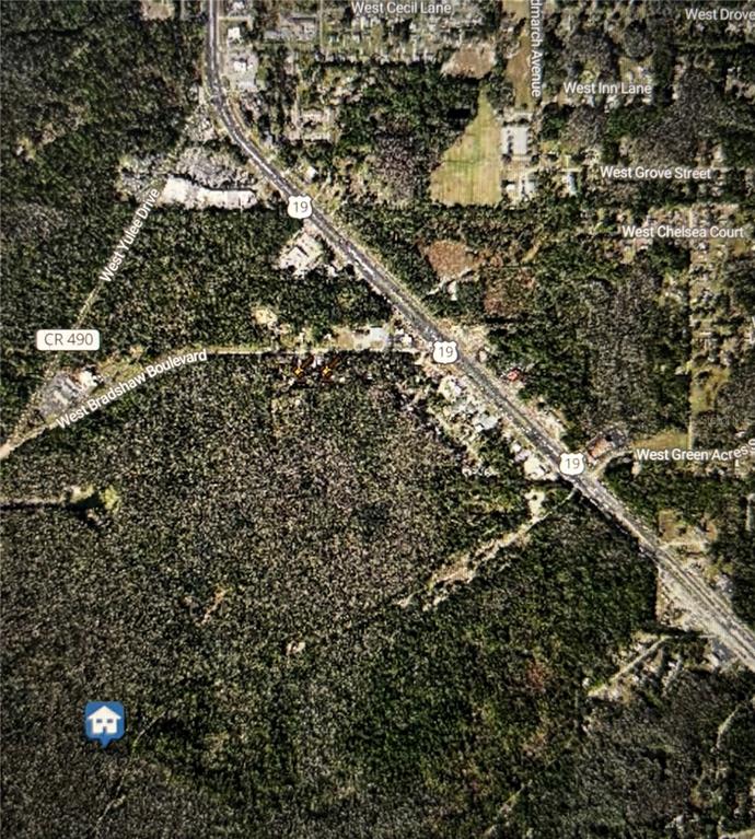 This is an aerial map showing a wooded lot with a house icon — 8748 W ELBA PLACE, HOMOSASSA, FL