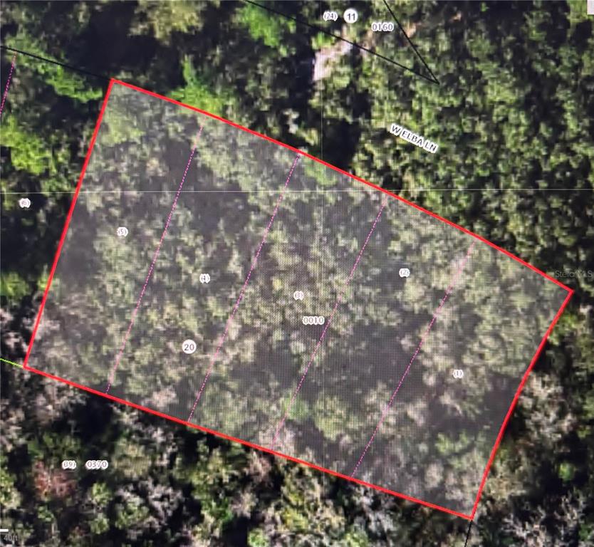 This is an aerial map showing a rectangular plot of land divided into several lots — 8748 W ELBA PLACE, HOMOSASSA, FL