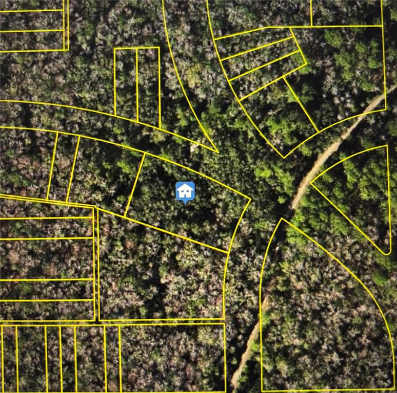 This is an aerial map showing property boundaries outlined in yellow over a wooded area — 8748 W ELBA PLACE, HOMOSASSA, FL
