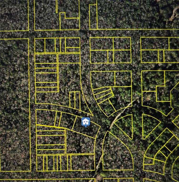 This is an aerial map showing property lot lines and a house icon — 8748 W ELBA PLACE, HOMOSASSA, FL