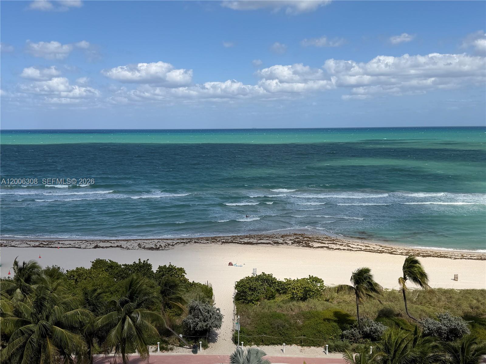 An elevated view of a sandy beach, ocean, and tropical vegetation under a blue sky — MIAMI BEACH, FL