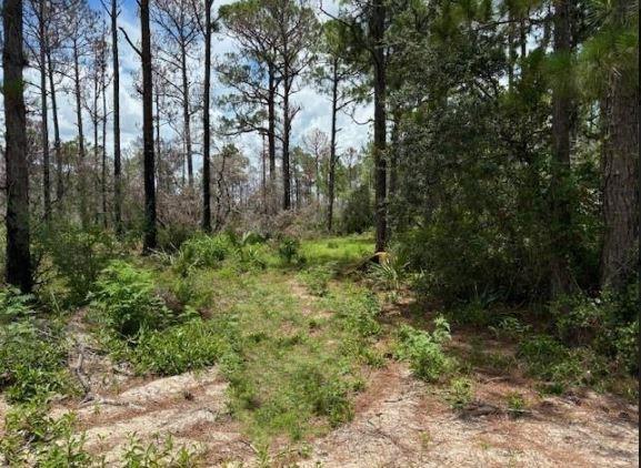 328 Claverton Drive, Lake Placid FL 33852
