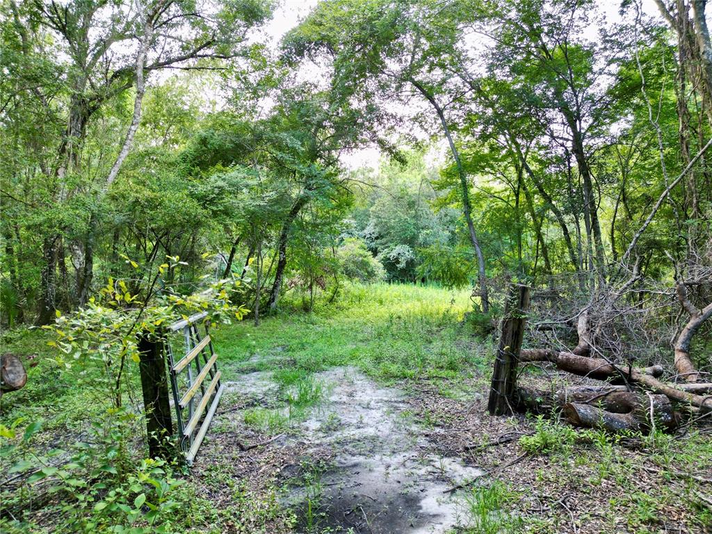 A metal gate opens to a dirt path leading into a wooded area — TBD SW 31ST WAY WAY, WEBSTER, FL