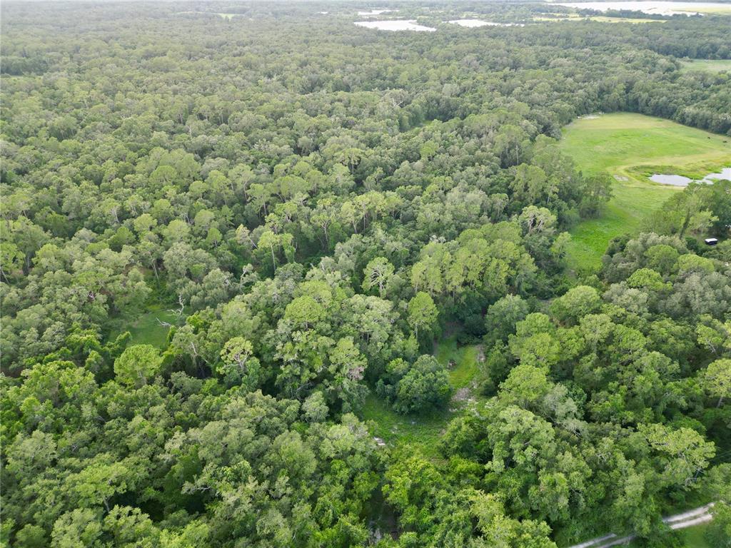 An aerial view shows a dense forest bordering a grassy field with small ponds — TBD SW 31ST WAY WAY, WEBSTER, FL