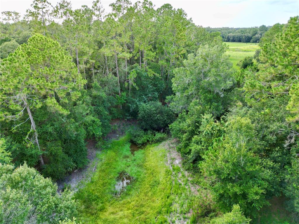 An aerial view shows a small, grassy wetland area surrounded by dense trees and forest — TBD SW 31ST WAY WAY, WEBSTER, FL