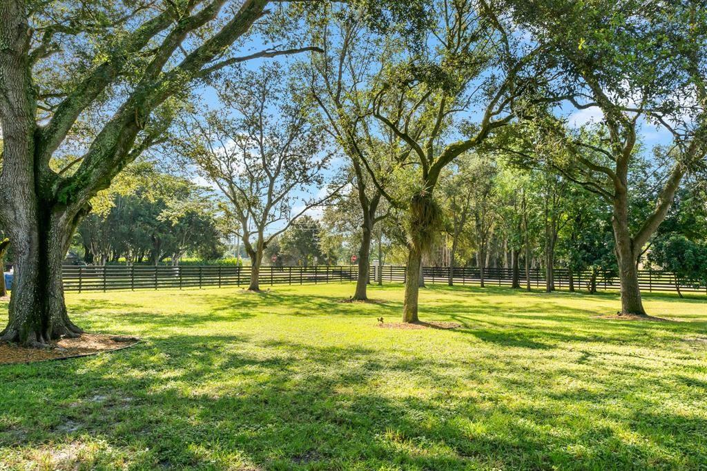 A grassy yard features several large, mature trees and a long black fence in back — 6541 Melaleuca Rd, Southwest Ranches FL 33330, SOUTHWEST RANCHES, FL