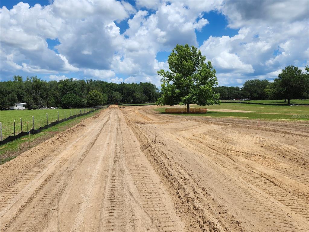 A dirt road leads through a cleared, grassy lot with a large tree — 0 CHRISTIAN ROAD Lot 1, DADE CITY, FL