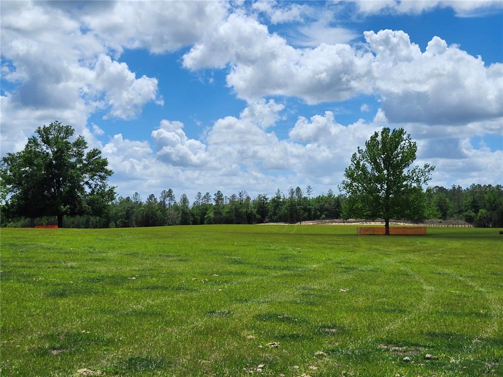 A large, grassy field features two prominent trees and orange construction fencing under a sky — 0 CHRISTIAN ROAD Lot 1, DADE CITY, FL