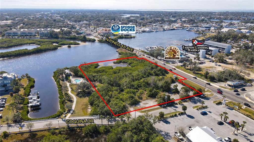 An aerial view shows a vacant, vegetated lot outlined in red near a marina — N PINELLAS AVENUE, TARPON SPRINGS, FL
