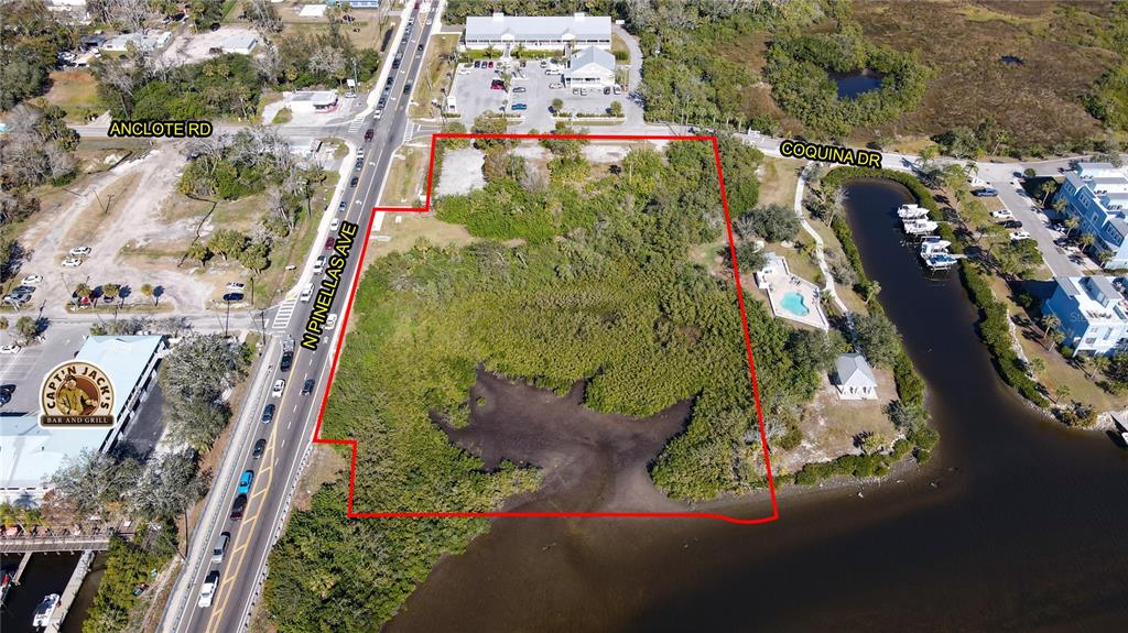This aerial view shows a vacant, wooded waterfront lot outlined in red along a road — N PINELLAS AVENUE, TARPON SPRINGS, FL