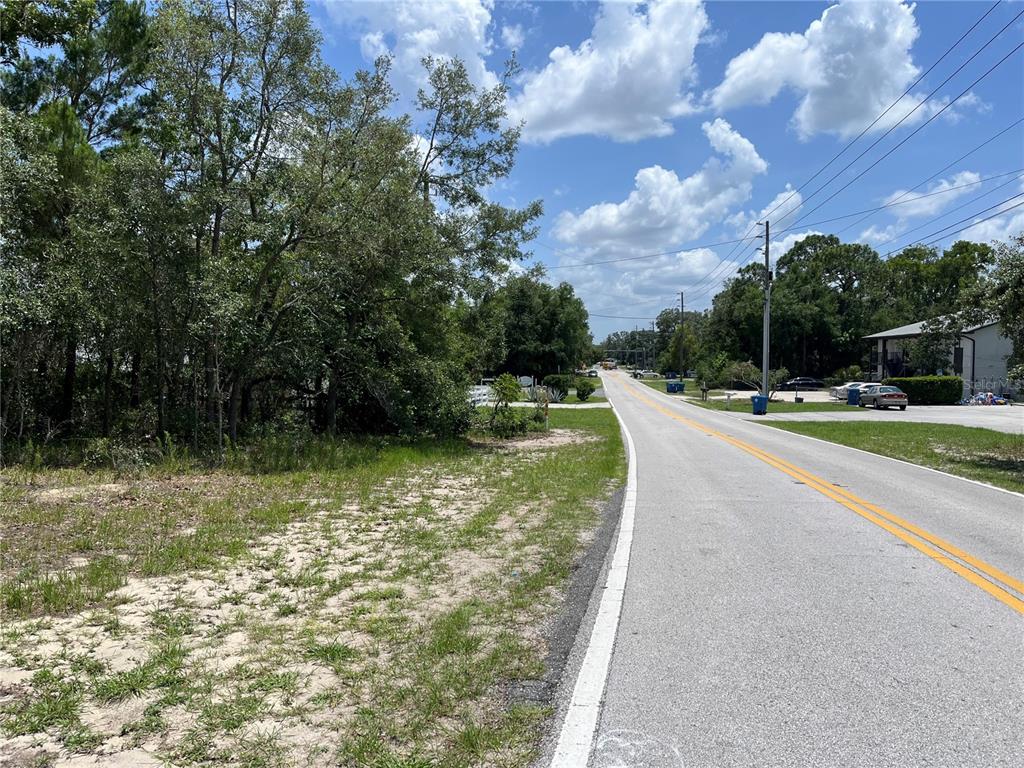 A paved road runs alongside a grassy, wooded lot under a partly cloudy sky — PINEHURST DRIVE, SPRING HILL, FL