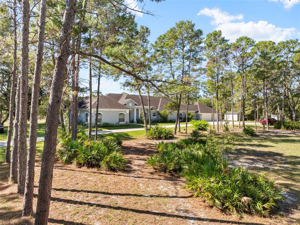 A light-colored house with a dark roof sits among pine trees and palmetto bushes — 11200 WOODLAND WATERS BOULEVARD, WEEKI WACHEE, FL