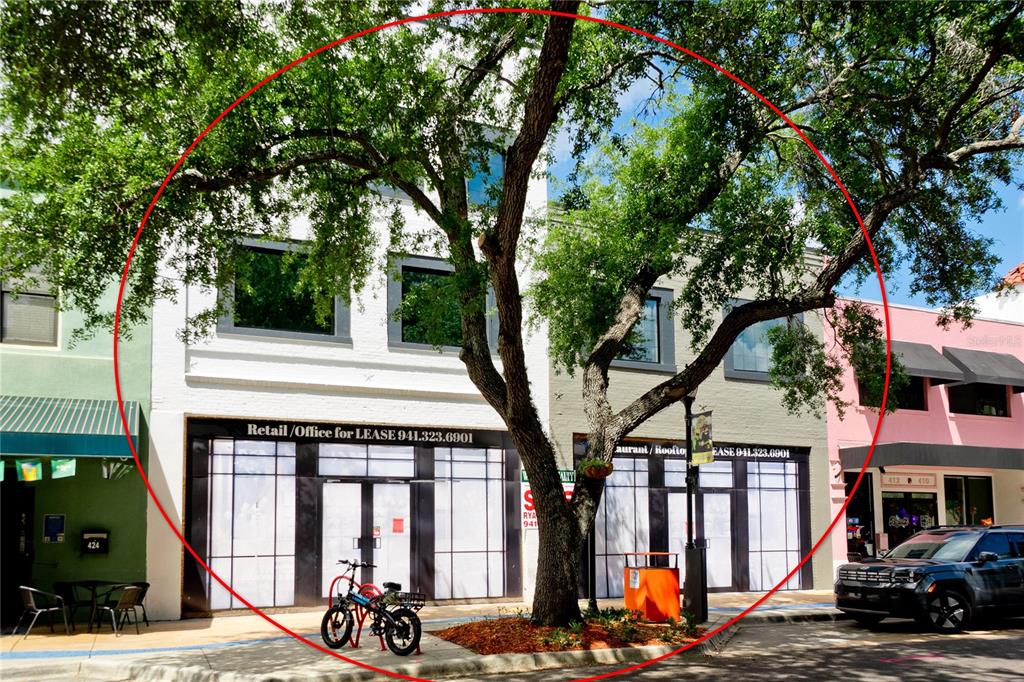 A multi-story commercial building with retail space for lease stands behind a large shade tree — 416-420 12TH STREET W, BRADENTON, FL