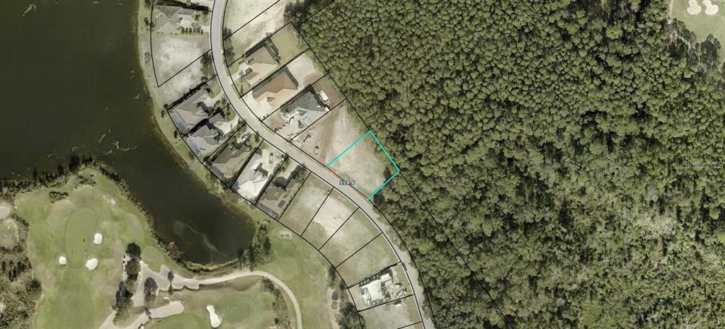 This aerial map shows a vacant residential lot outlined in blue within a wooded neighborhood — 491 SWEETGUM LANE, PALM COAST, FL