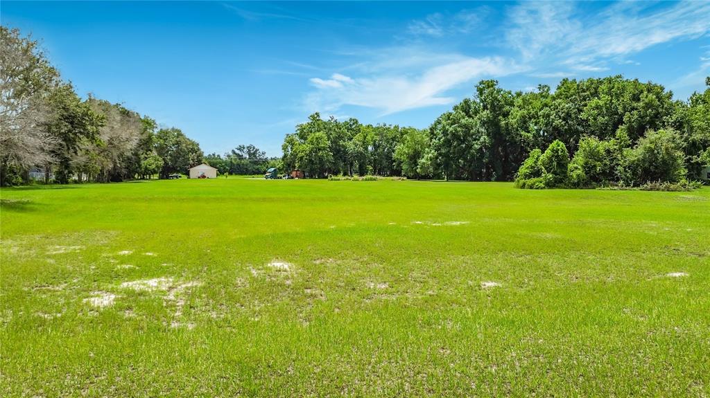 A large, flat, grassy field is surrounded by trees under a bright blue sky — 5298 CR 542F, BUSHNELL, FL