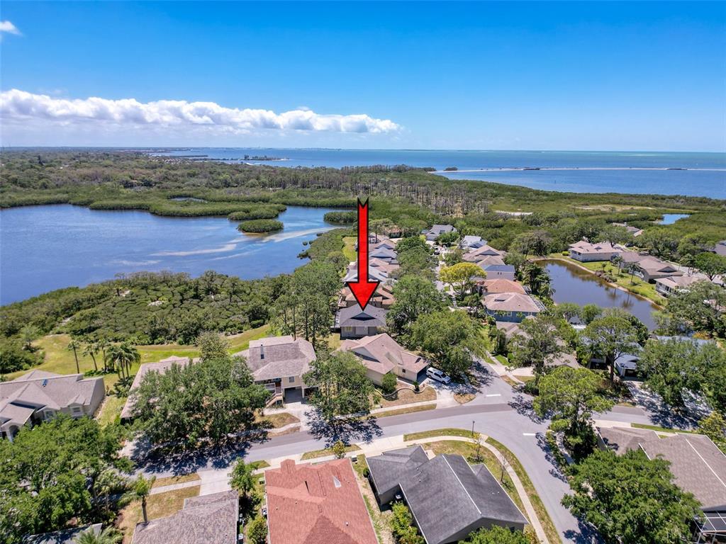1003 TEAL POINTE