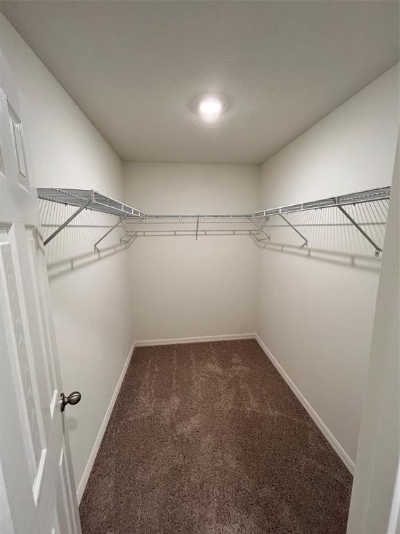 A walk-in closet with beige carpet, white walls, and white wire shelving — 4950 KENNETH STREET, HASTINGS, FL