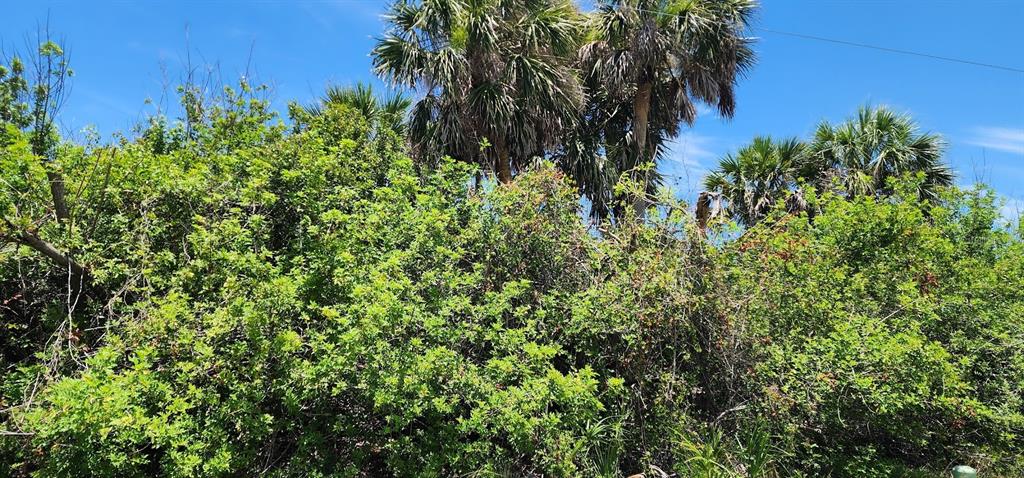 A dense thicket of green shrubs and trees stands against a bright blue sky — 108 BEBB COURT, ROTONDA WEST, FL