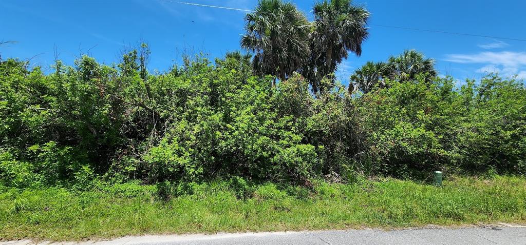 A vacant, overgrown lot with dense green vegetation and several palm trees under a blue sky — 108 BEBB COURT, ROTONDA WEST, FL