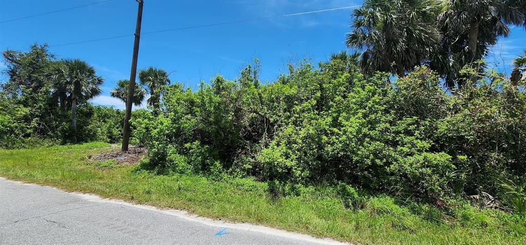 A paved road runs alongside a vacant, heavily vegetated lot with trees and shrubs — 108 BEBB COURT, ROTONDA WEST, FL