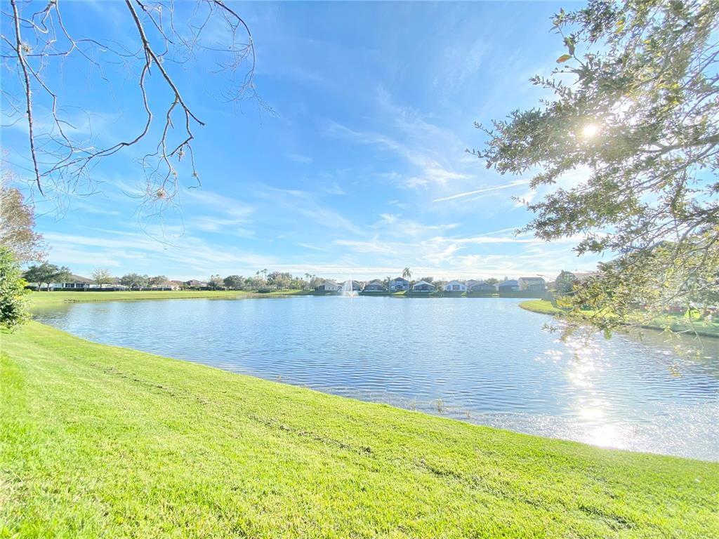 A grassy lawn slopes down toward a pond with a fountain and distant houses — 729 TUTEN TRAIL, ORLANDO, FL