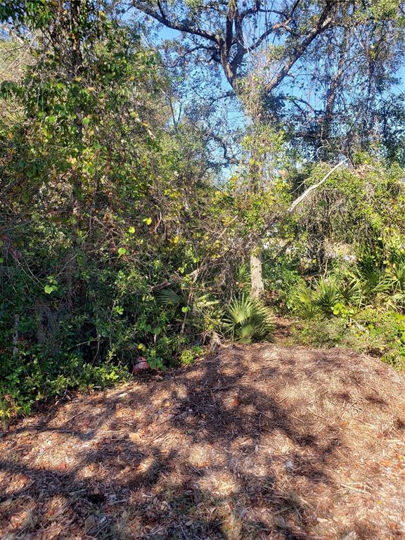 CHESTNUT AVENUE, ORANGE CITY, FL — photo 3 of 6