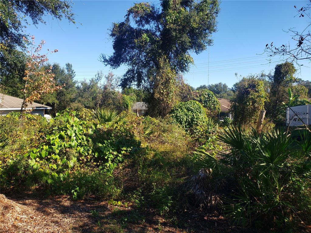 CHESTNUT AVENUE, ORANGE CITY, FL — photo 4 of 6