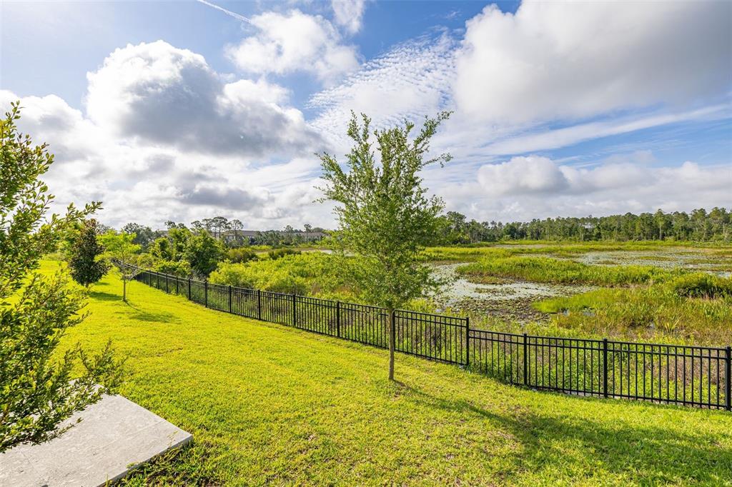 A grassy backyard features a black metal fence overlooking a pond and wooded area — 2236 DERWENT DRIVE, DAVENPORT, FL