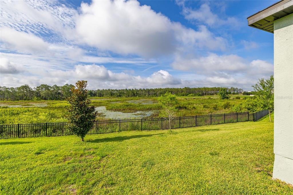 A grassy backyard features a black metal fence overlooking a marshy pond and distant trees — 2236 DERWENT DRIVE, DAVENPORT, FL