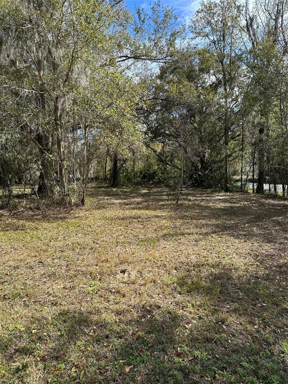 A grassy, wooded lot with mature trees and Spanish moss under a blue sky — 0 YONTZ ROAD, BROOKSVILLE, FL
