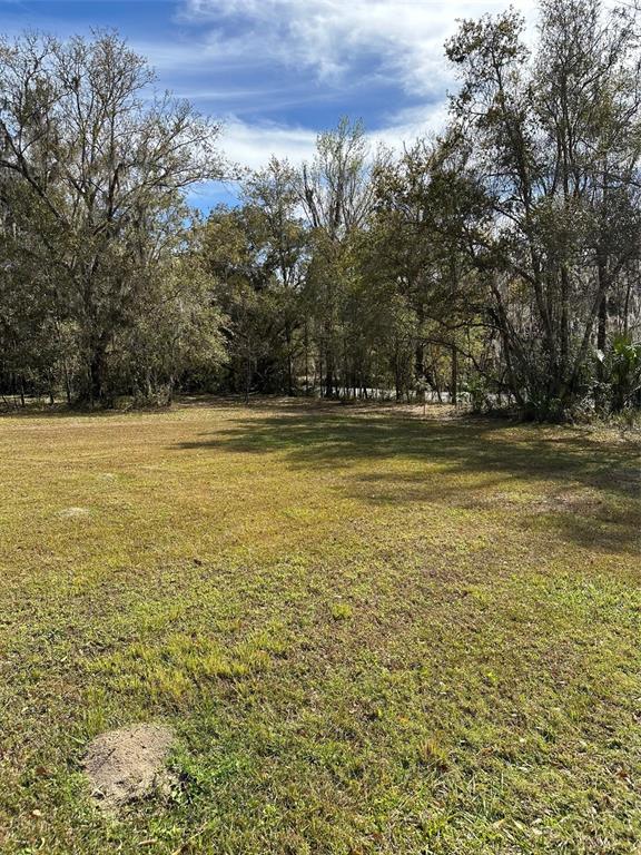 A grassy, open lot is bordered by a dense line of mature trees — 0 YONTZ ROAD, BROOKSVILLE, FL