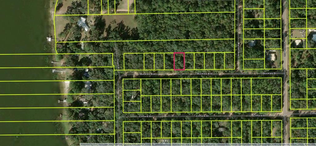 This is a satellite map view showing a highlighted rectangular land parcel along a street — Lot 7, Unit 7, Blk 42 BUCKLES AVENUE, INTERLACHEN, FL