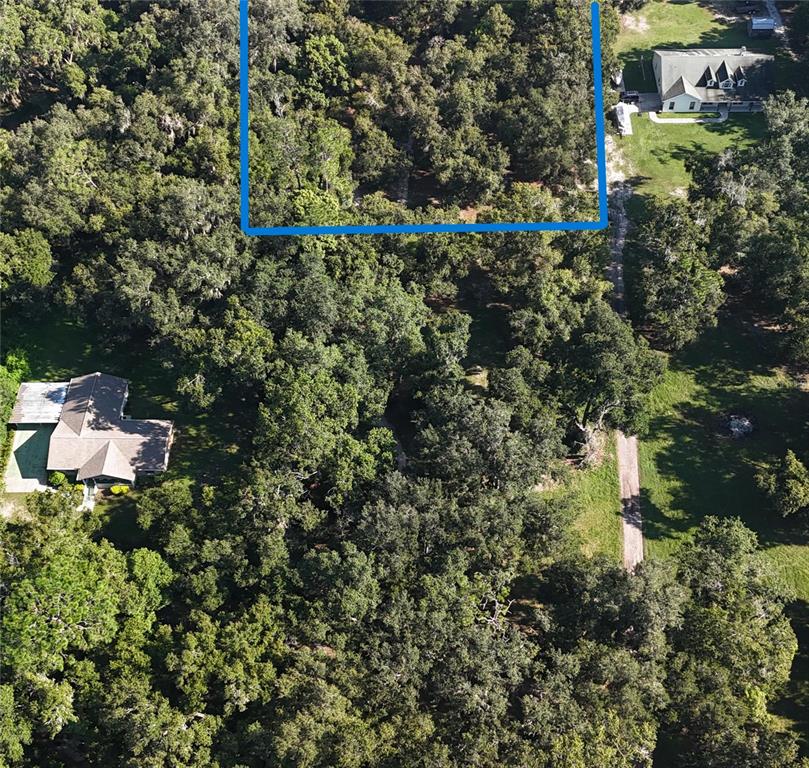 An aerial view shows a wooded lot outlined in blue between two residential houses — 3015 OWLS NEST LANE, PLANT CITY, FL