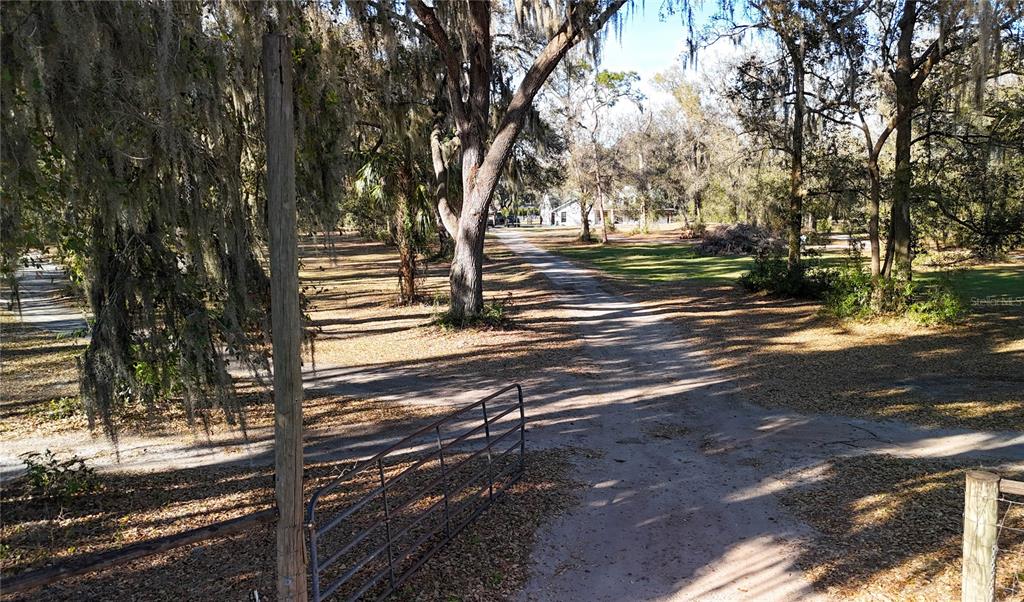 A dirt driveway leads through a wooded property toward a house in the distance — 3015 OWLS NEST LANE, PLANT CITY, FL